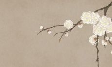 精选的美丽公主城堡命名,让你的建筑物更加惊艳!