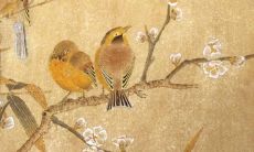 2022属羊人爱情缘分加持:破解旺财花絮,探究谁才是属羊人感情桃花的幸运神秘人?