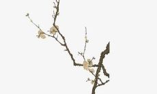 如何为玄幻小说创造出独特且令人惊艳的名称?