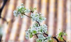 一步步解析,优化关键信息:女性属马者出生于1978年后,44岁及以后的未来人生运势如何?