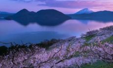 金命配金命,婚姻是否合适?金命夫妻是否更美满?