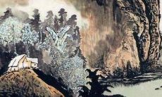 2022年全年运势详解之属兔人的生肖运势分析