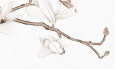 2022年女孩取名字的深刻内涵探讨:从文化信仰到个性特质,如何为女婴选择一个寓意美好、独具匠心的名字?