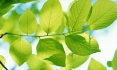 经典风水之谈:揭秘朱砂的神秘能量及正确辟邪方式!