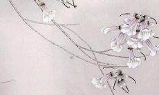 探寻74年属虎人48岁本命年的健康运势:能否迎来健康长寿?