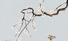 属羊人在2022年应忌讳的颜色:不宜碰触的几种色彩