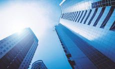 我梦见了大量死亡的蛇,这代表什么意义?