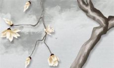 1999年出生的属兔人2022年整年的各方面运势解析