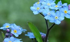 今夜入梦,亲历龅牙之坠:掉落之瞬,心中波涛汹涌,无从解释,惊醒而起