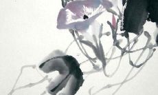 1985年属牛的人在2022年的全年运势是什么?