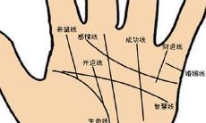 手掌厚实的女性命格命运是否吉祥?手掌厚实的女人是否更容易得到好姻缘?