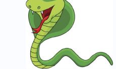 探讨属蛇大林木命女性的命运:从婚姻到运势全面分析