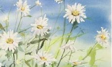 2022年男孩女孩取名指南:详尽的男孩女孩名字大全及其含义解析