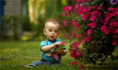 做梦亲人离世痛哭不止,预示着什么?