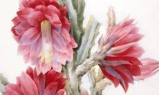 根据五行八字分析:2022年属猴夫妻的职业、财运、健康和感情运势如何?