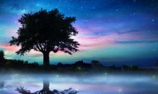 如何让你的屋顶土命更加旺盛?尝试在屋顶种植绿色植物,并搭配精美的首饰来达到最佳效果!