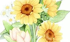 以生肖为指导,65岁属蛇男人的桃花运如何?对于他们的感情运势而言,会有哪些决定性的影响?