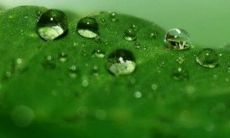 五行中的火元素如何带来财运,偏财运特别旺盛,让您财源滚滚,财富迎刃而解!