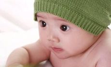 从军事犬良驹到个性选择:十分引人注目的、值得擁有的可爱、可信赖的佳犬取名方式汇总