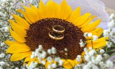 哪些星座在恋爱中生理需求更高于心理需求?