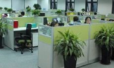 间,缺乏生气的角落也应当避免——详解办公室装修的风水学原则