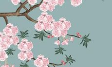 寻找美丽且富有创意的树种名称,让植物带有独一无二的个性与吸引力