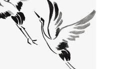 2022年虎年女性兔子87年出生的运势如何?