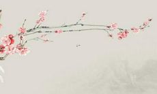 牛年2022,牛宝宝的学业运势如何?