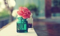 男木女金的姻缘等级及其夫妻命运探究