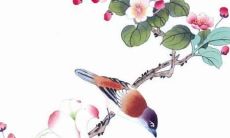 女,事业、财运、感情、健康全方位解析!