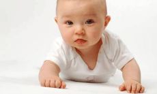 50个好听的狐狸名字推荐,让您的宠物更具个性和吸引力!