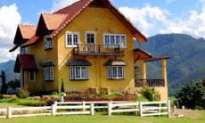 为了增加标题的描述性和吸引力,考虑以下改写: