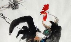 又有个性的宠物狗名字推荐,让你的狗狗更加霸气和与众不同!