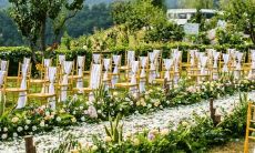 十二星座中,哪个身体部位被认为最美丽?