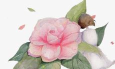 在虎年为女宝宝取名,选用具有美好寓意的陈姓字汇!