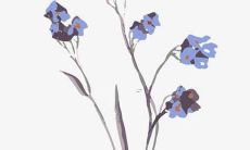 一份关于可爱、迷人的女孩子好听小名汇总指南