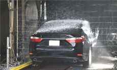 女人做梦,狗咬住了但不疼痛,抓不下来,她的恐惧、掌控和解释