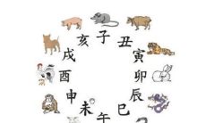 如何根据十二生肖组合起来产生最合适的搭配?