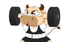 哪个动物属于2021年的属相?