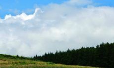 为什么男性更容易偏财运,他们的偏财运是带来好运还是坏运呢?