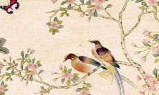 探究2022年全年兔女运势:运势走势、幸运指引及红利机会分析