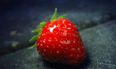 乙亥日柱男命的对象特征及其对生活质量的影响:优秀对象的选择与塑造