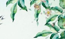 的2022年运势和财运会受到什么影响?-关于属马和属蛇的2022年生肖运程和财富展望