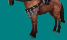 2021年生肖属马人运势透析:“辅助”吉星显露其助力有限的事实