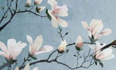 从2009年开始,到2022年牛的运势如何变化?