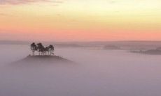 硕鼠年出生的女性命理分析:探寻癸巳日柱配偶个性特质,强调偏爱静默处事,并表现出冷静精神状态