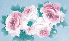 一探究竟:寻找十二生肖中姓唐的女孩的名字