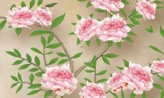 2022年是猴年,是属猴人的本命年,预测运势不如意,命运多舛,对属猴人来说将是个严峻的挑战年,让我们一起来谈一谈,这些在虎年的属猴人运势究竟如何