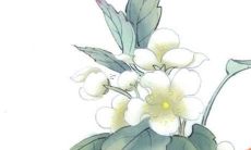 2022年属猪人的合太岁感情运势:在虎年将迎来怎样的挑战?