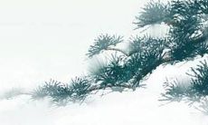 2005年出生的属鸡男孩子,考虑到星座的影响,他们的学业将面临何种挑战?在高考中,他们能否充分发挥自己的潜力,实现理想的成绩?